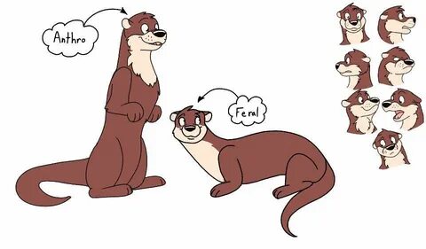 Nico the otter Furry Amino