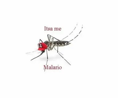 Malario - Meme subido por Anao22 :) Memedroid