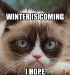 WINTER IS COMING-Grumpy Cat Meme Funny grumpy cat memes, Gru