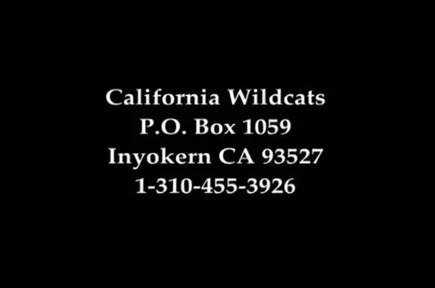 California Wildcats - CW 285 The Star