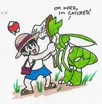 Bug Catcher Pokémon Know Your Meme