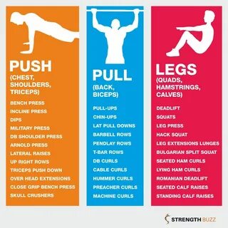 Different forms of Exercises Push workout, Push pull legs wo