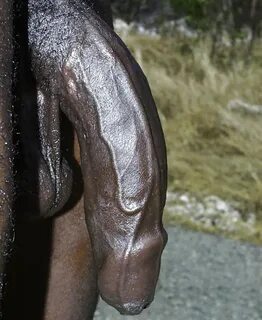 I-love-big-black-cock