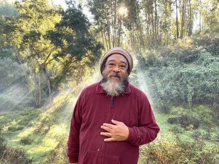Quote of the Day - Mooji