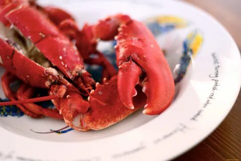 еда, рыба, , морепродукты, , суши, , роллы, лобстер 
