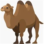 🐫 Two-Hump Camel Emoji on Facebook 2.2.1