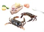 Buy Soft shell Crabs online Ready To Cook crabs The Fish Soc