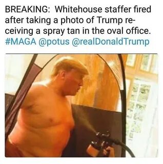 POTUS getting his spray tan - Imgur