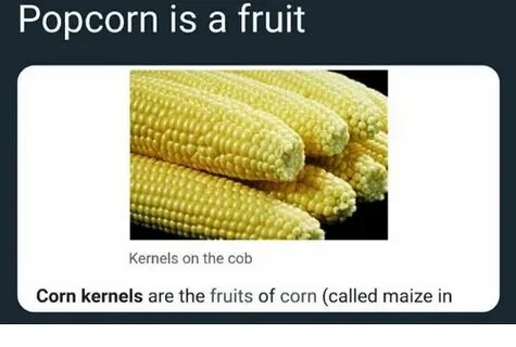 Popcorn Is a Fruit Kernels on the Cob Corn Kernels Are the F