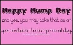 26 Popular Funny hump day memes ideas funny, funny quotes, f