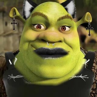 e-boy shrek Shrek, Shrek funny, Shrek memes