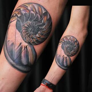 Shell tattoos by Kristin Manning on I 3 Ink & Piercings Body