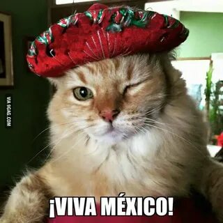 Today is Mexican independence day! We salute you 9gaggers *i