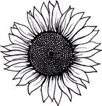 Sunflower coloring pages 100 Free coloring pages