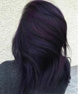 Black Violet Hair Color Related Keywords & Suggestions - Bla