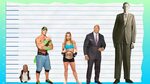 How Tall Is John Cena? - Height Comparison! - YouTube