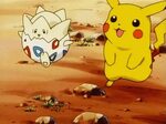 Ash's pikachu and misty's togepi are pokeshippers Pokémon Am