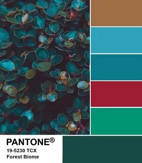 PANTONE 19-5230 Forest Biome palette @milanstyleguide.com - 