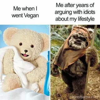35 Hilarious Vegan Memes That May Change The Way You Look At