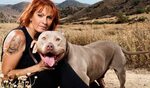 Why You Should Be Watching "Pit Bulls and Parolees"