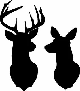 Buck and Doe Silhouette Stencil or Decal as Shown in the Fir