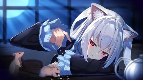 Nora Cat Channel - Zerochan Anime Image Board