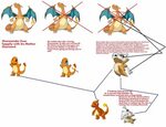charmander evolution chart ... chart thing explaining my the