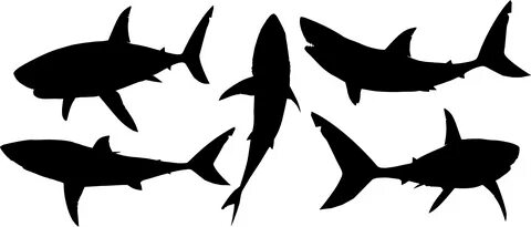 Clipart shark silhouette, Picture #661761 clipart shark silh