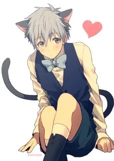 真 嶋 し ま ℠ on Twitter Anime cat boy, Anime neko, Cute anime b