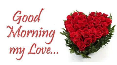 Good Morning My Love Animated Images Morning Love Greetings