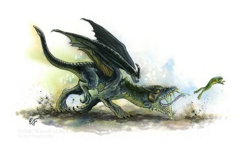 Вирмлинг чёрного дракона (Black Dragon Wyrmling) Существа Ин