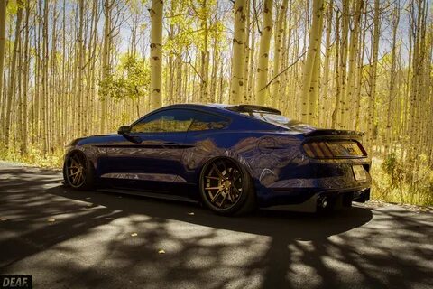Ford Mustang sitting right. StanceNation ™ // Form Function
