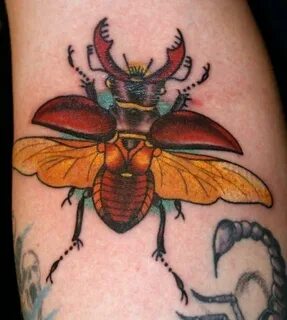 Beetle tattoo Beetle tattoo, Bug tattoo, Egyptian tattoo