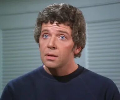 Brady Bunch Mike Brady Quotes. QuotesGram