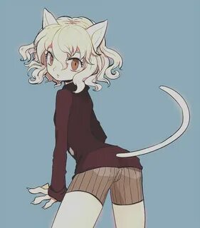 Neferpitou Desenhos de anime, Menina anime, Arte anime