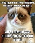 Grumpy Cat memes quickmeme