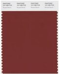 Pantone Smart 19-1338 TCX Color Swatch Card Russet Brown Mag