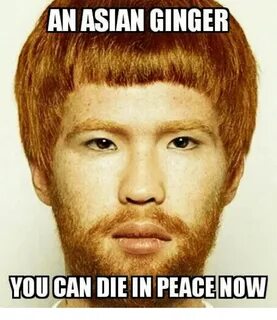 An ASIAN GINGER YOU CAN DIE IN PEACE NOW Ginger Meme on astr