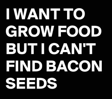 Can't Find Bacon Seeds Funny quotes, Bacon jokes, Funny imag