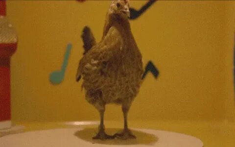 Гифка курица танец цыпленка dancing chicken гиф картинка, ск
