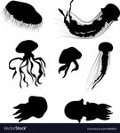 Jellyfishset Royalty Free Vector Image - VectorStock