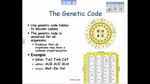 Biology Staar Test 2021 Answer Key : Chromosomal Genetics - 