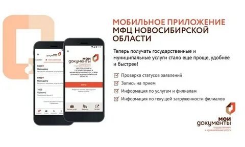 Мои документы Новосибирская область