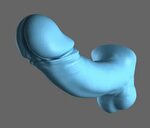 penis 3D Моделі in Анатомія 3DExport