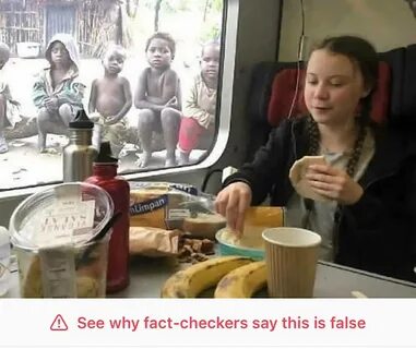 Instagram fact checks and censors satirical Greta Thunberg m
