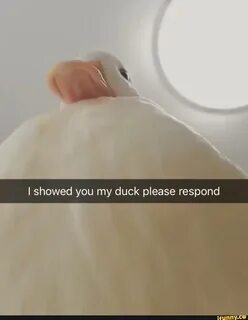 I showed you my duck please respond