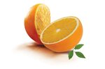 Free photo: Orange - Cut, Fresh, Fruit - Free Download - Joo