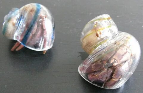 Custom Colored Hand Blown Glass Hermit Crab Shell. http://ta