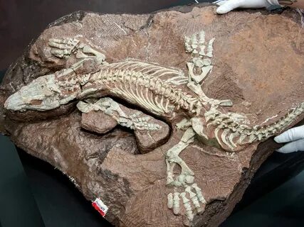 Scientists Built a Robot Based on a Lizard-Like Prehistoric 