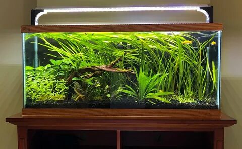 30 gal fish tank stand Online Shopping